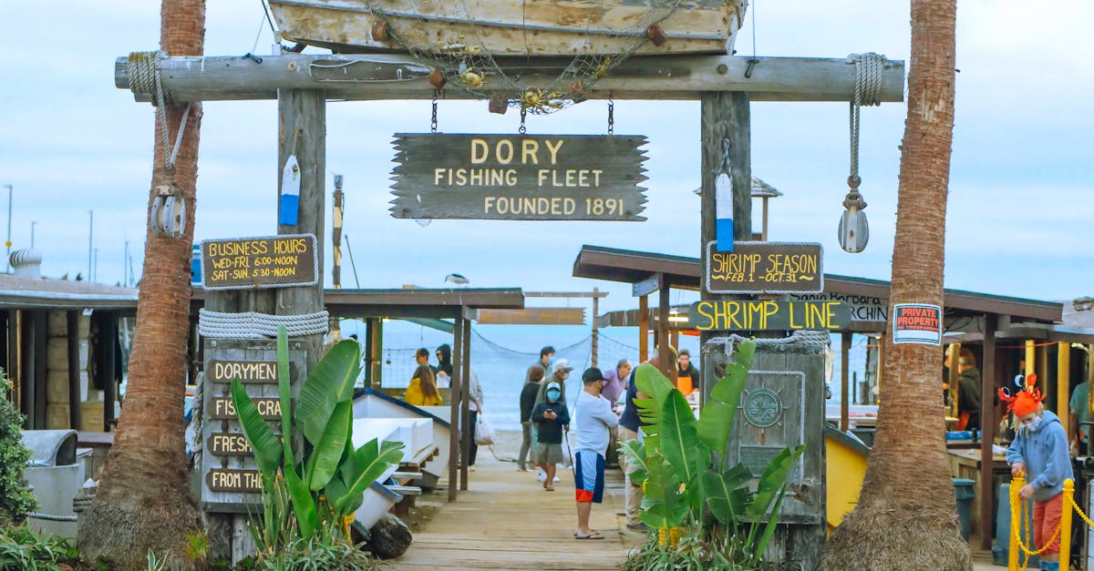 Doris Studio — zdjęcie 1